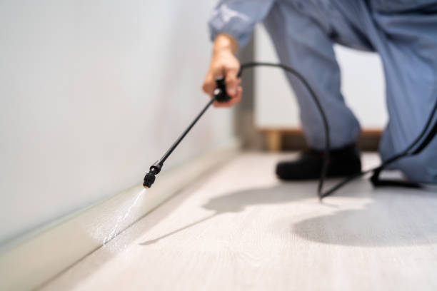 Professional exterminator conducting IPM assessment in Syracuse